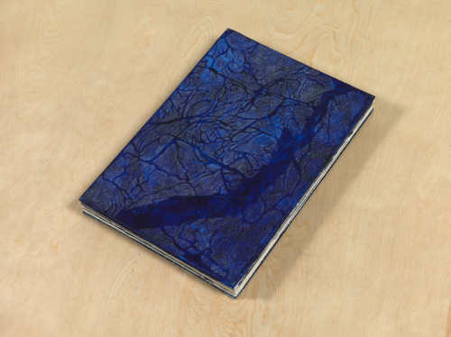 Passage, 2008-2014. Pencil, acrylic, paper, cardboard. 8x9.5 in - 28x20 cm. Book open: 200 in - 506 cm