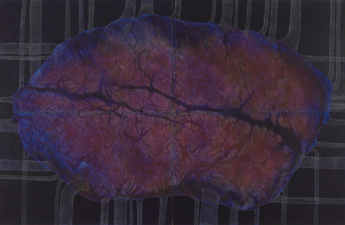 NorthEastSouthWest, 2014. Colored pencil, acrylic, paper on linen. 96x148 in - 244x376 cm