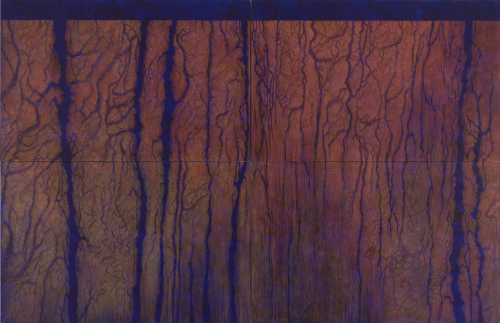 Skin Deep, 2014. Colored pencil, acrylic, paper on linen. 96x148 in - 244x376 cm