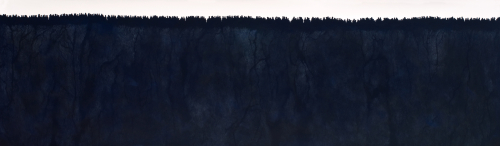 People (2), 2011. White pencil, acrylic, paper. 24x81 in - 61x206 cm