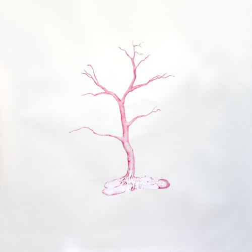 Growing Tree, 2006. Colored pencil, acrylic, paper. 45x45 in - 114x114 cm
